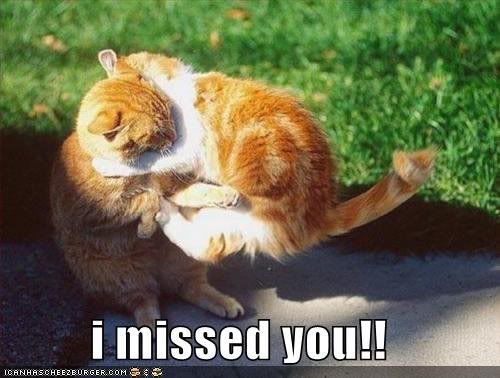 Missed You! Pictures, Images and Photos