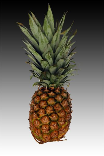 pineapple.jpg