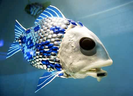 051007_robot_fish.jpg