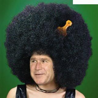 afro-bush.jpg