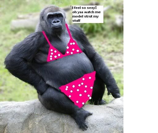 Bikini gorilla picture