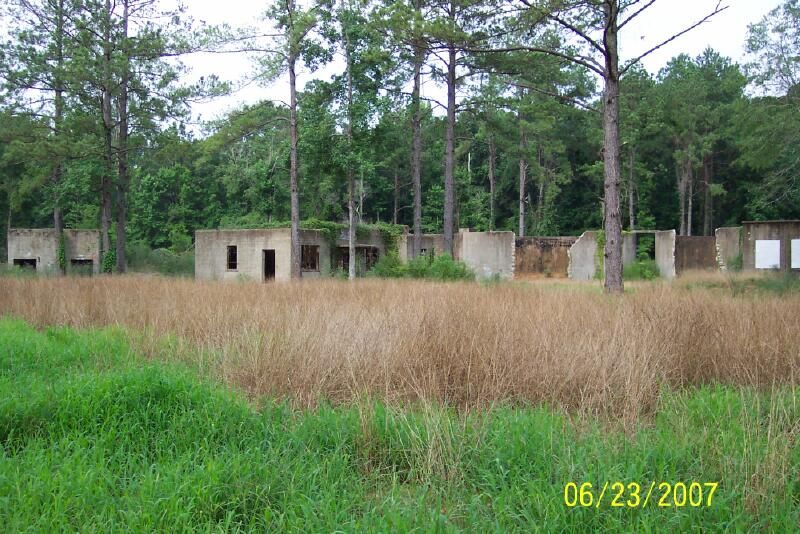 camp-claiborne photo waterplant.jpg