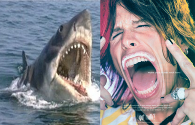 big mouth photo: big mouth!!!!! jaws_vs_steve.png