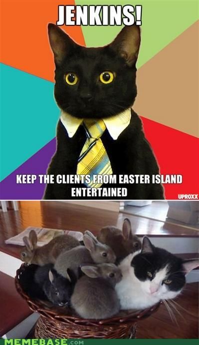 business-cat-26.jpg