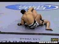 Palhares Armbars Salaverry UFC 84 LQ