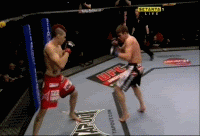 Dan Hardy Drops and Finishes Rory Markham UFC 95