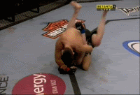 Demian Maia Triangle Chokes Chael Sonnen UFC 95