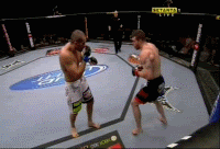 Nate Marquardt Finishes Wilson Gouveia UFC 95