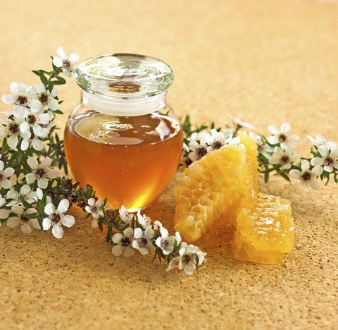 MẬT ONG MANUKA
