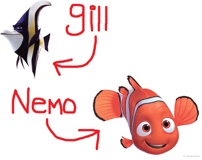 nemo.png