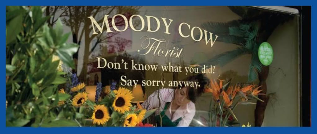 moody cow