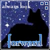 Always Look Forward Avatar