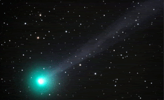 Comet Swan