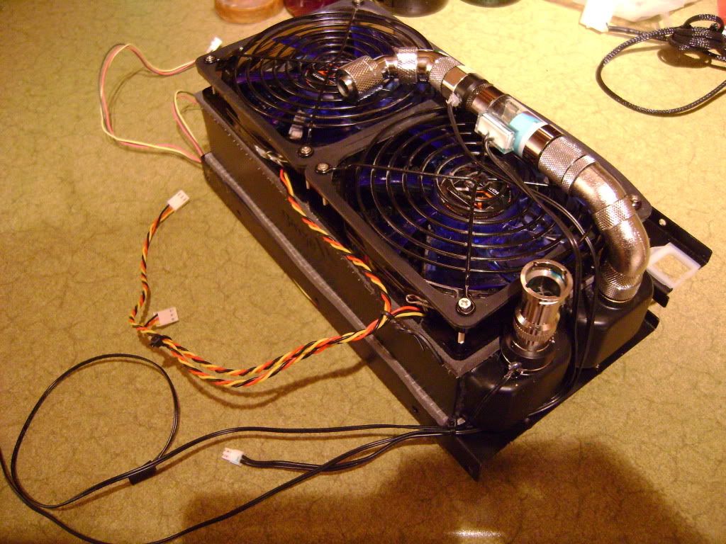 514.jpg