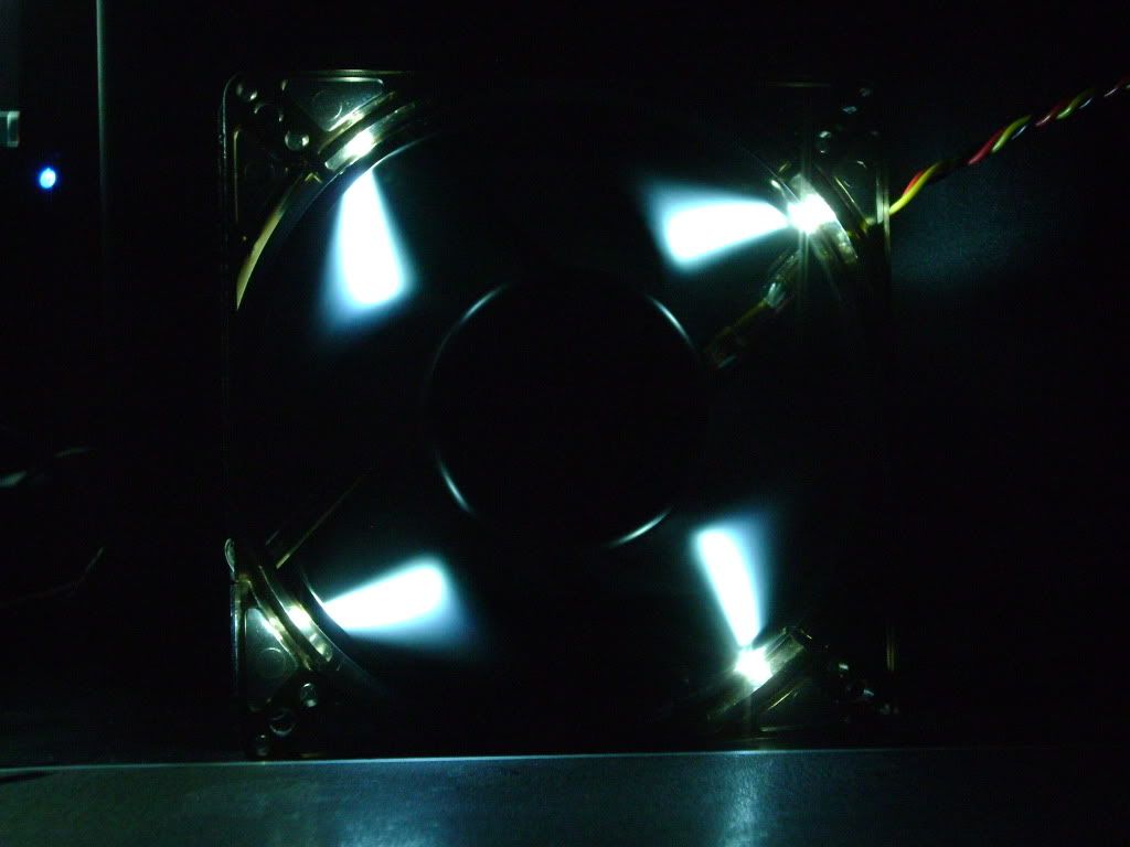 003-2.jpg