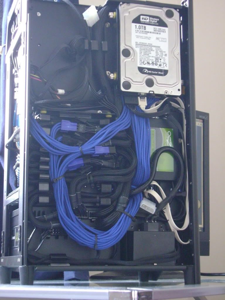 008-1.jpg