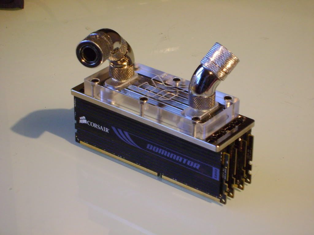 DSC03314.jpg