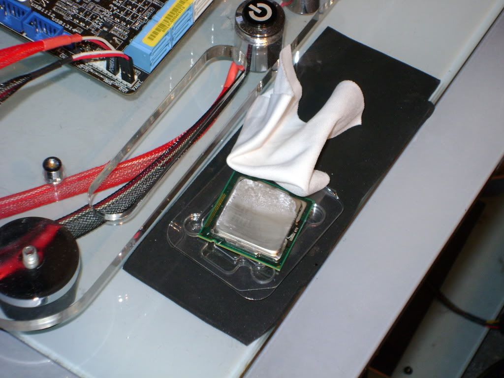 DSC03325.jpg
