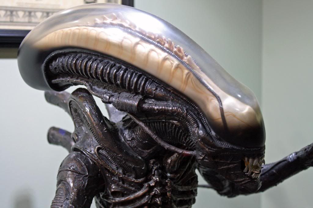 alien1.jpg