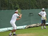Wimbledon