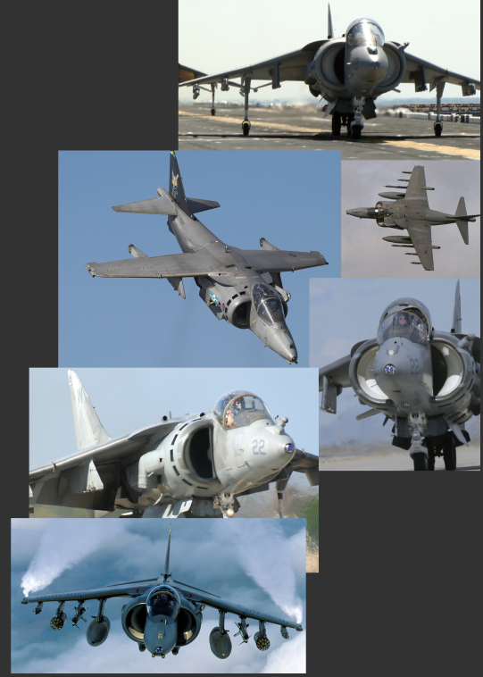 harrier_references.png