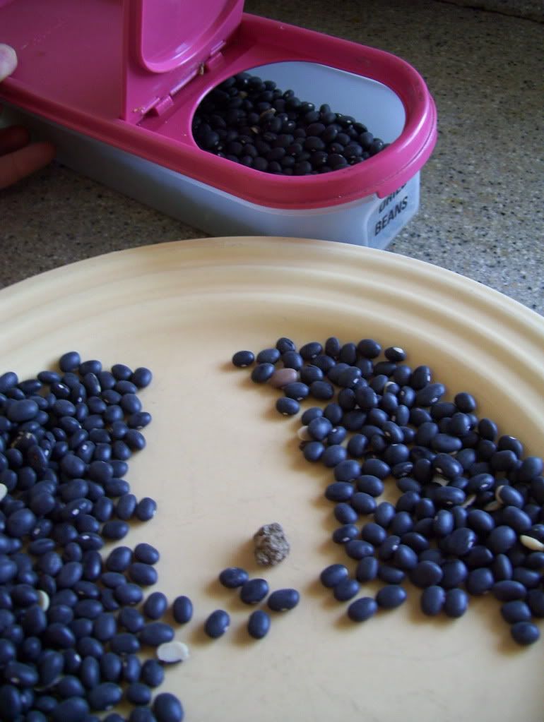 Sorting Black Beans:  Pour into a pile on one side of plate.  Working in small batches, push into a pile on other side of plate