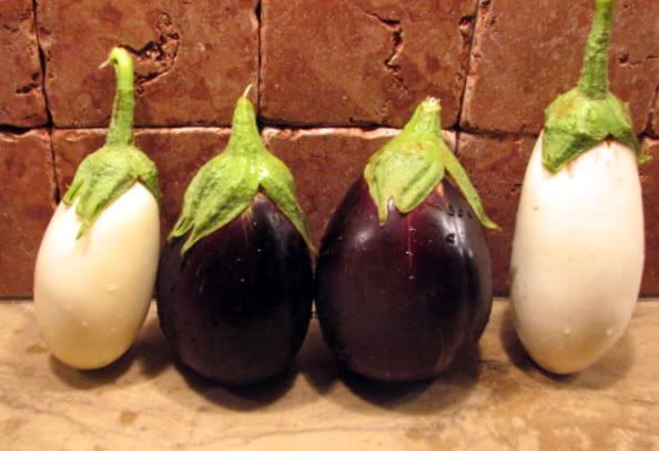 Eggplants