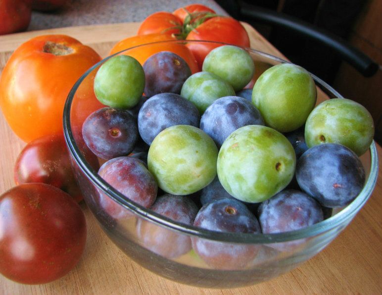 Greengages and Italians