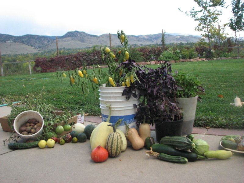 Autumn Harvest