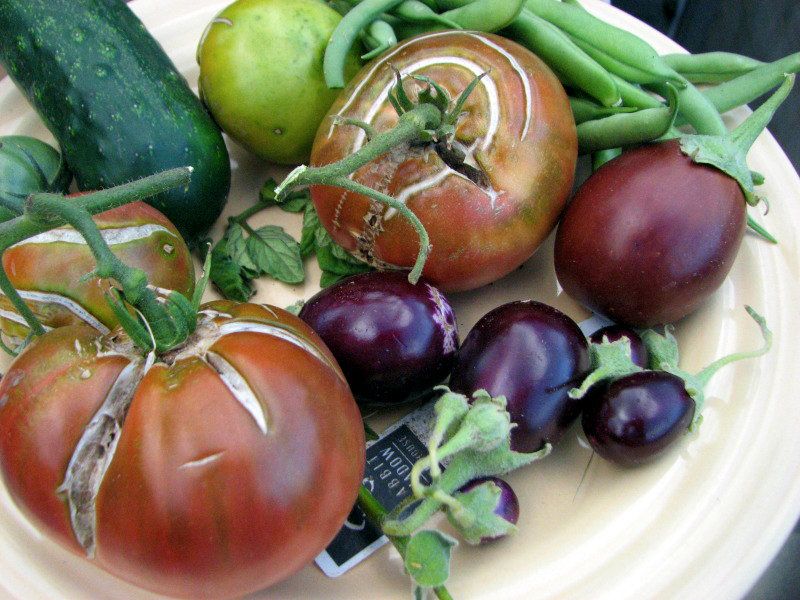 Vegetable Harvest Plate