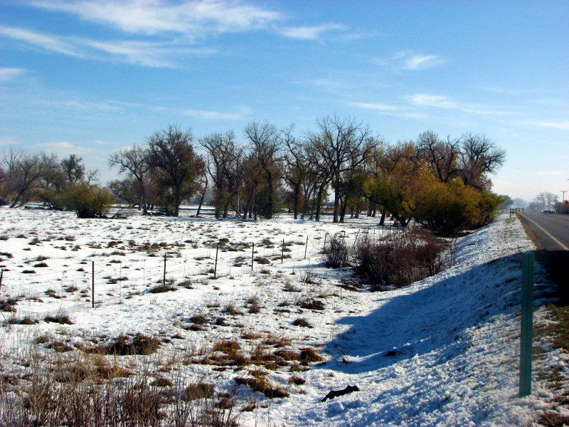 Beauty Amidst the Plains