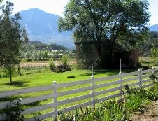 View of Mount Lamborn from our B & B