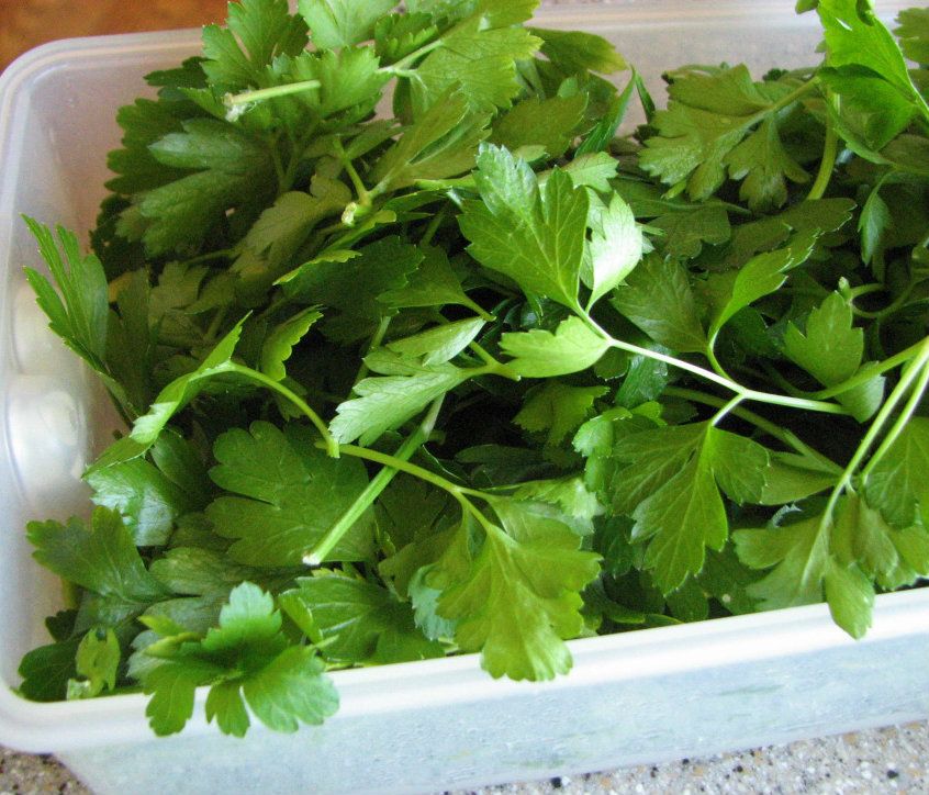 Parsley