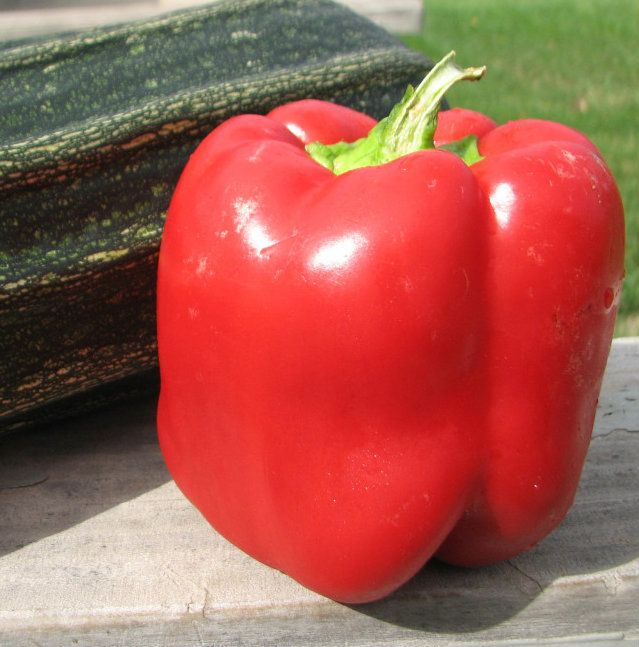 Red Pepper