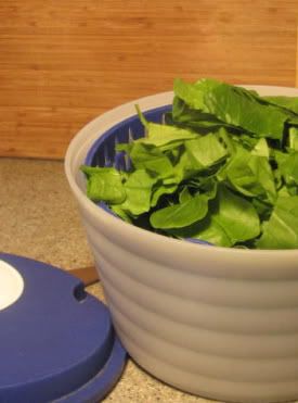 Spinach in Salad Spinner