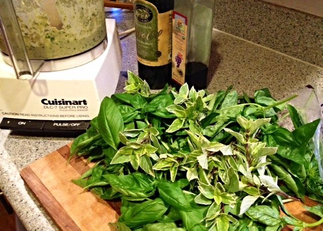 Basil Pesto