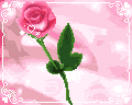 roses.gif%20B-E-Autiful%20roses%20image%20by%20montaytay
