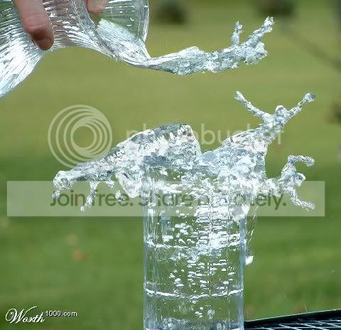 28164386.jpg