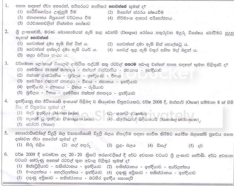 P3.jpg