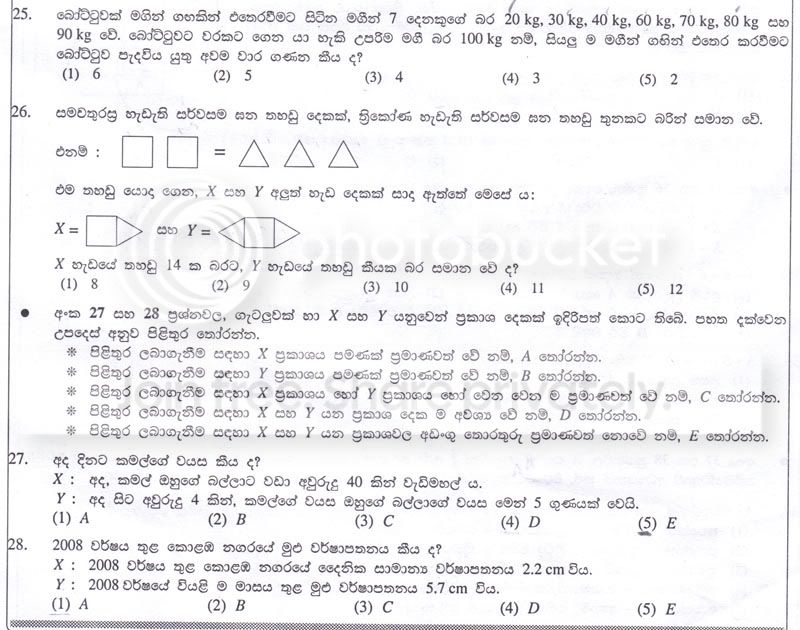 P5.jpg