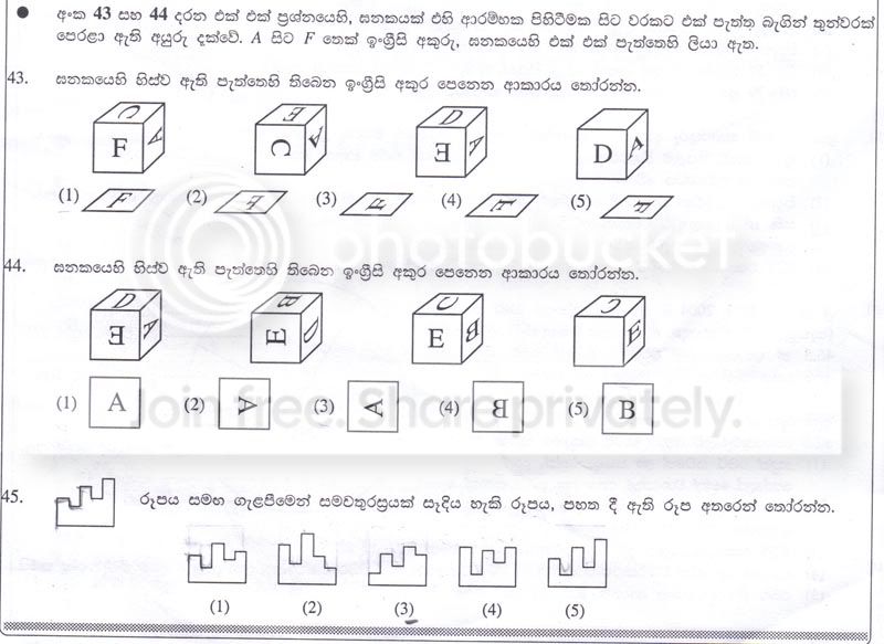 P8.jpg