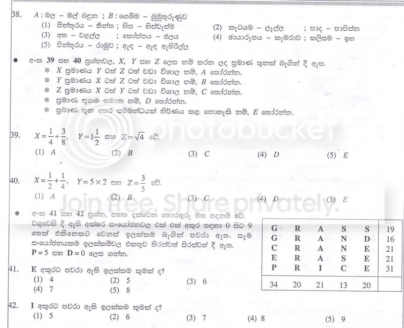 P9.jpg