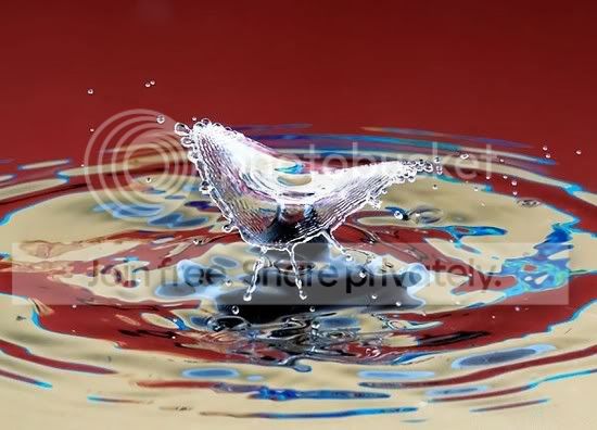 WaterDropsAtHighSpeed5.jpg