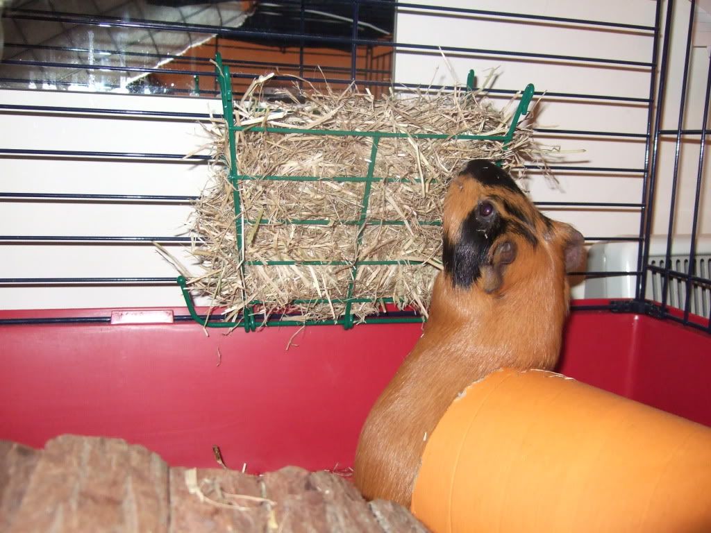 DSCF4252.jpg