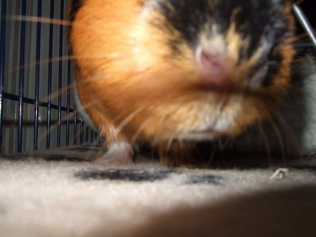 DSCF4316.jpg