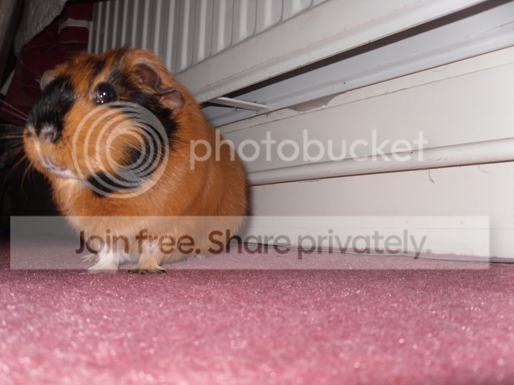 SAM_0708.jpg