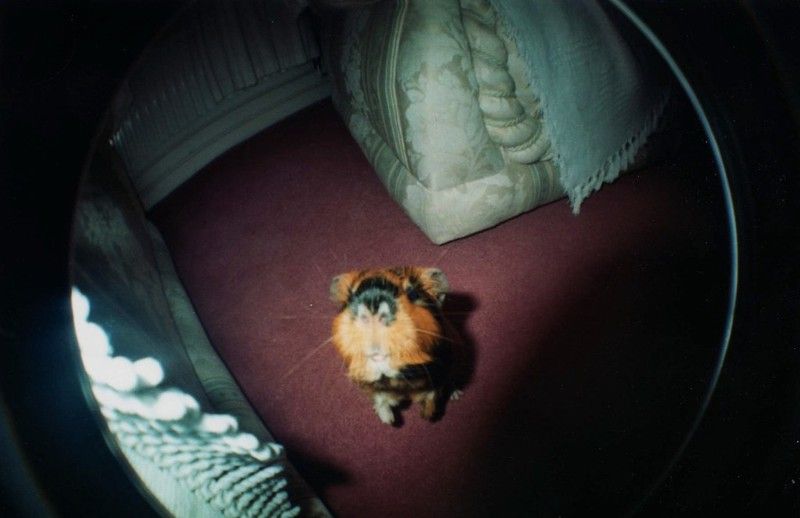 fisheye025.jpg