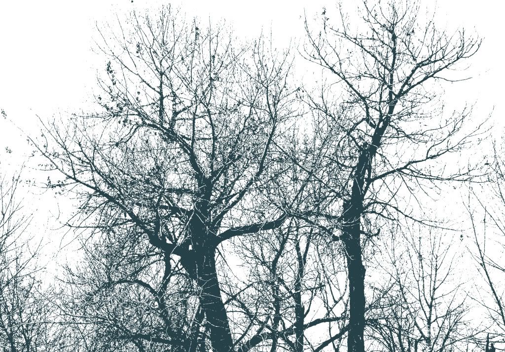 trees