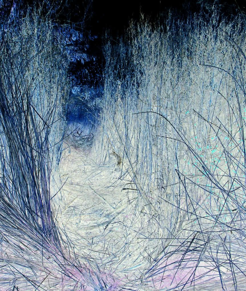paths