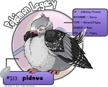 User Image